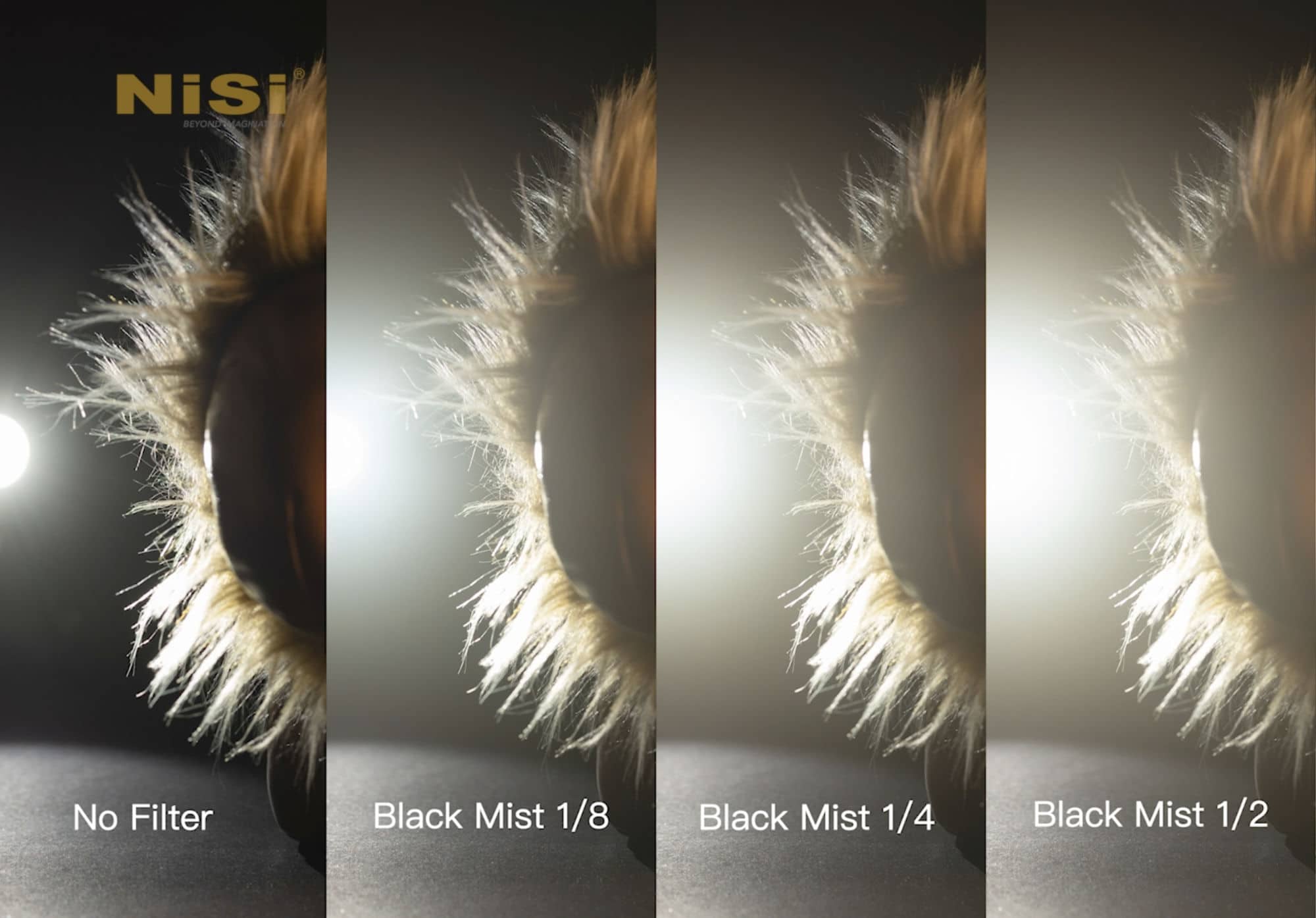 NiSi 49mm Circular Black Mist 1/4 - Image 7
