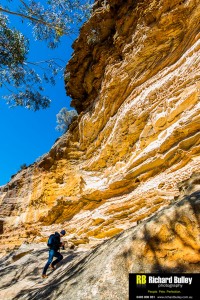 Photography Course Sydney Blue Mountains
