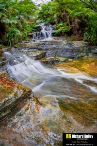 Photography Course Sydney Blue Mountains